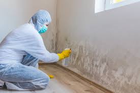 Best Biohazard Mold Removal  in USA